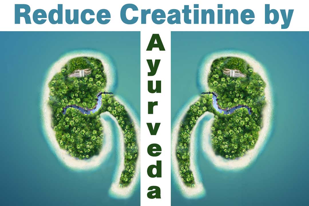 reduce creatinine by Ayurveda