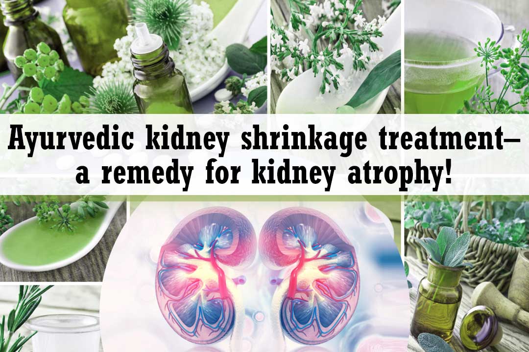 Ayurvedic kidney shrinkage treatment