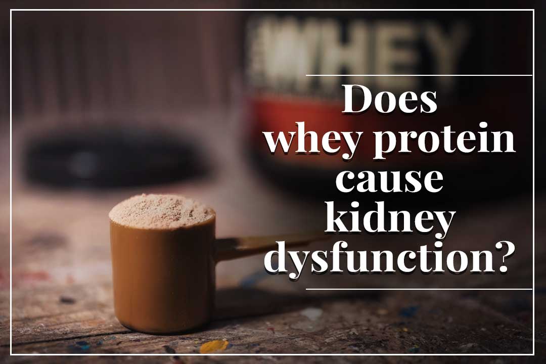 Does whey protein cause kidney dysfunction