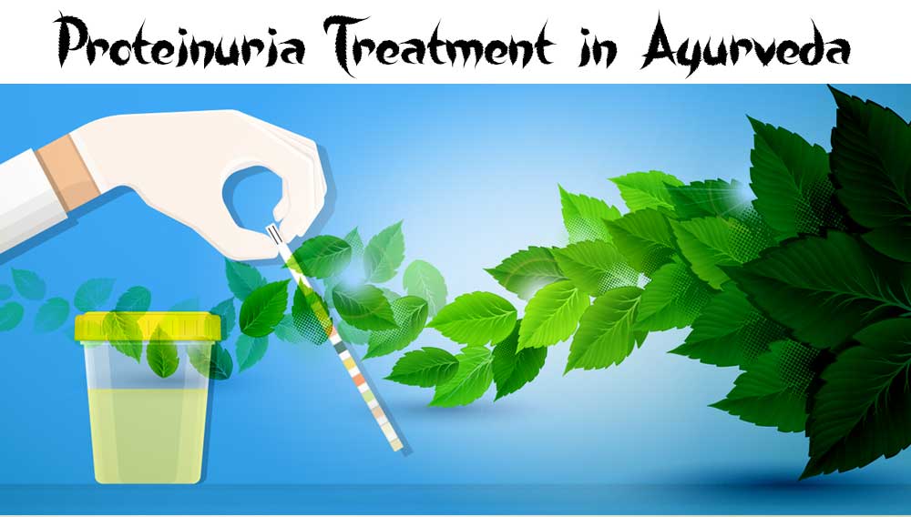 Proteinuria treatment in ayurveda