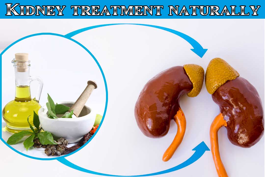Kidney treatment naturally