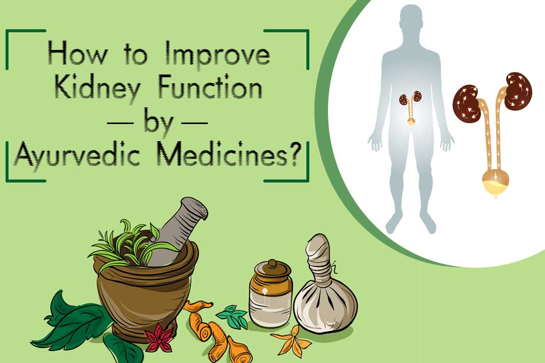 Ayurvedic Medicine For Kidney Damage