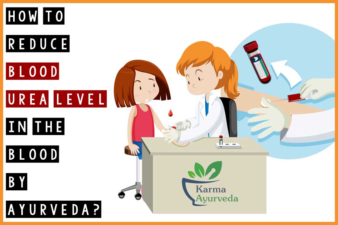 How to reduce blood urea level by Ayurveda