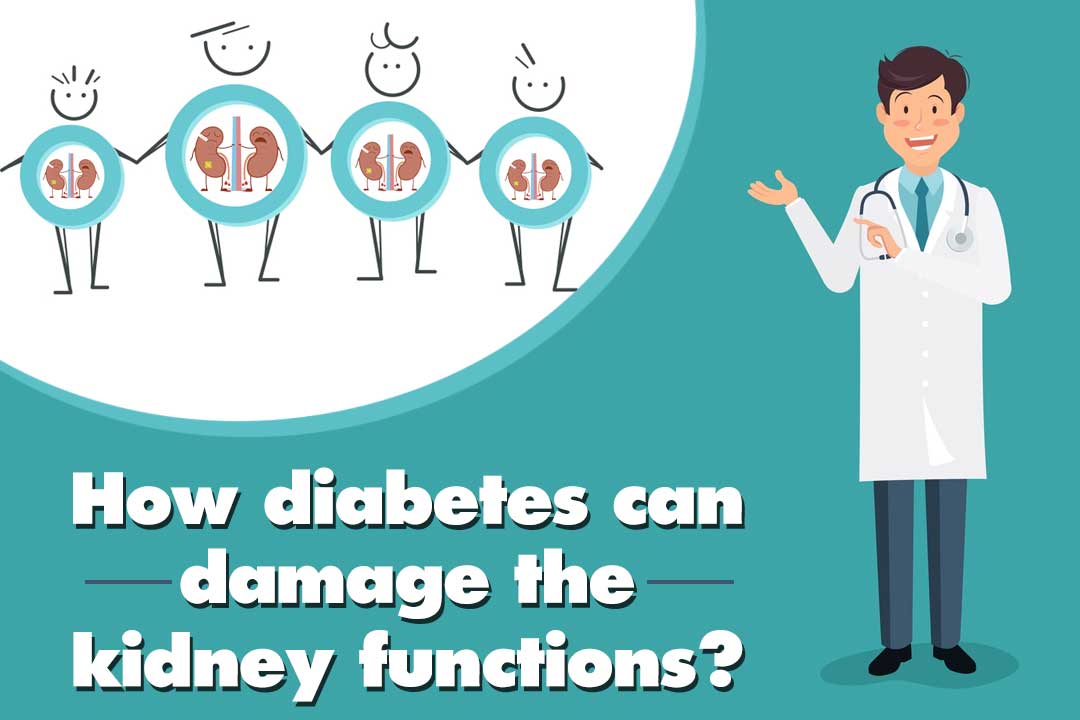 how diabetes can damage the kidney functions