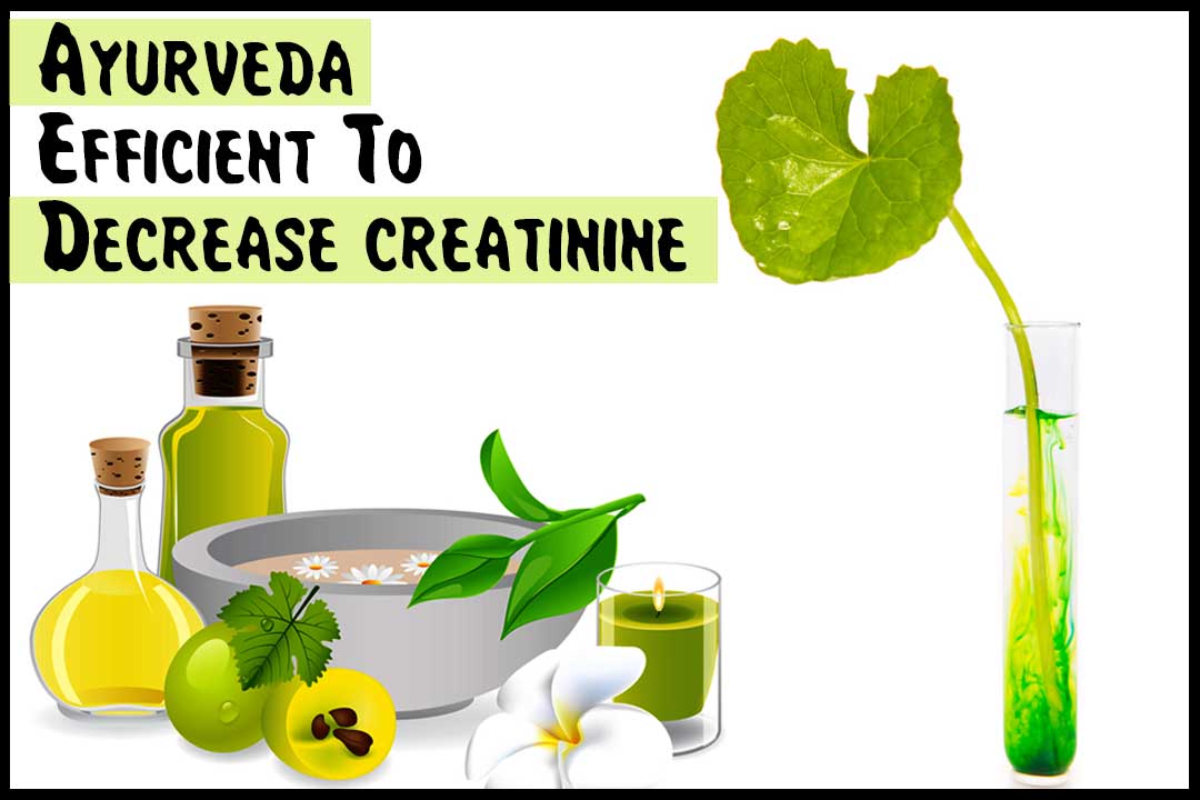 Ayurveda Efficient To Decrease creatinine
