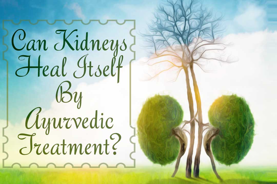 Kidneys Heal Itself By Ayurvedic Treatment