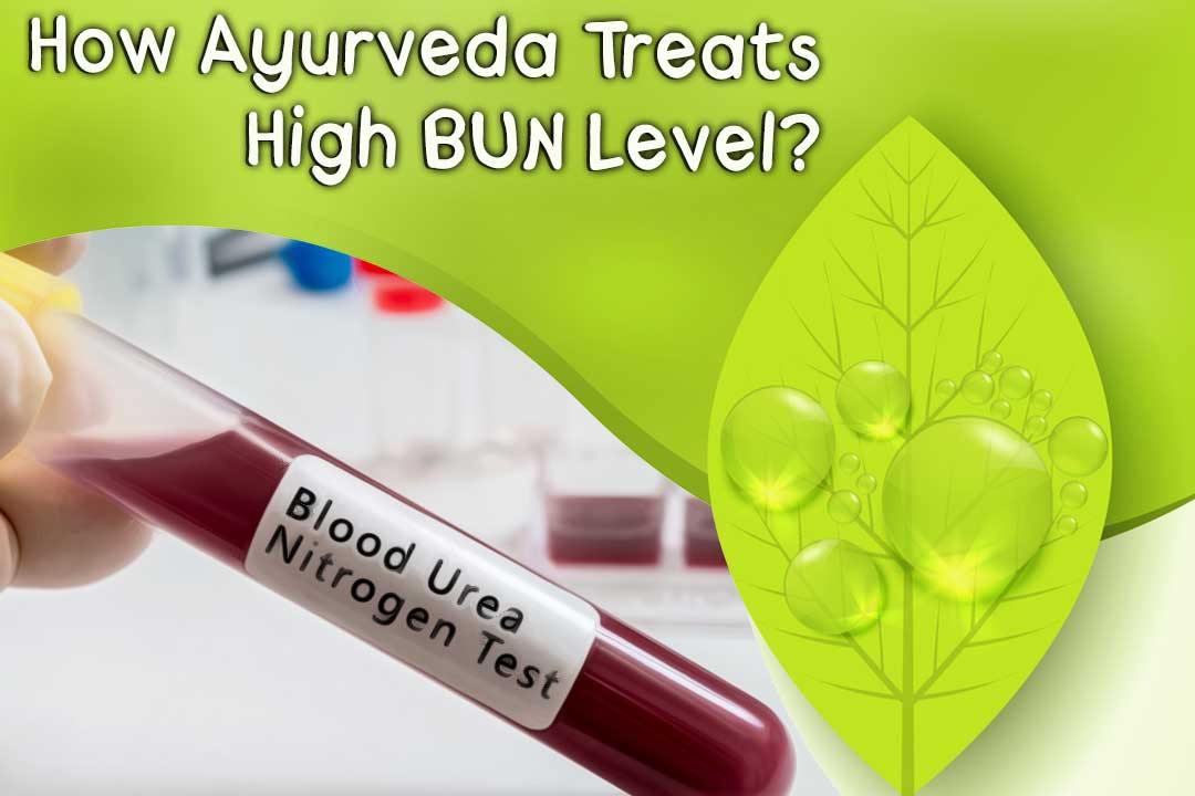 How Ayurveda Treats High BUN Level