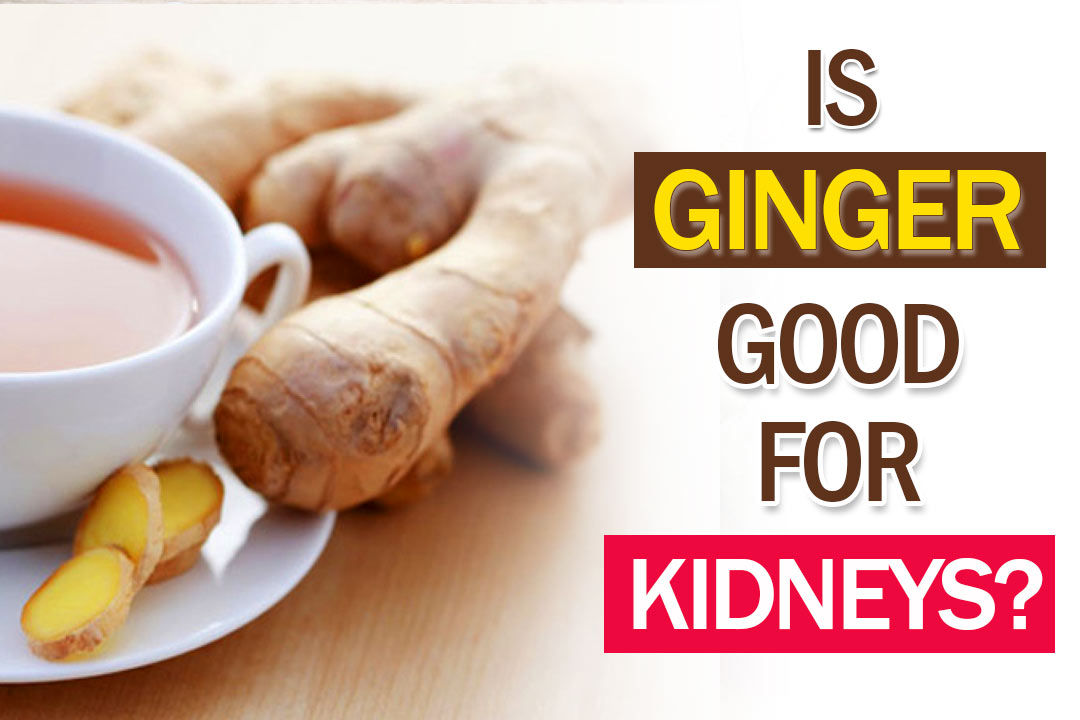 Is Ginger good for Kidneys