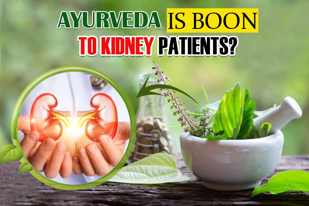 Ayurveda is boon to kidney patients