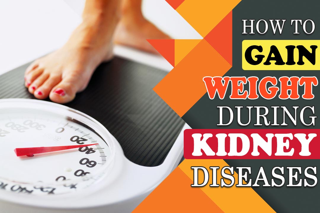 How to gain weight during kidney diseases