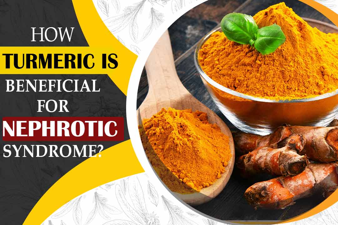turmeric is beneficial for nephrotic syndrome