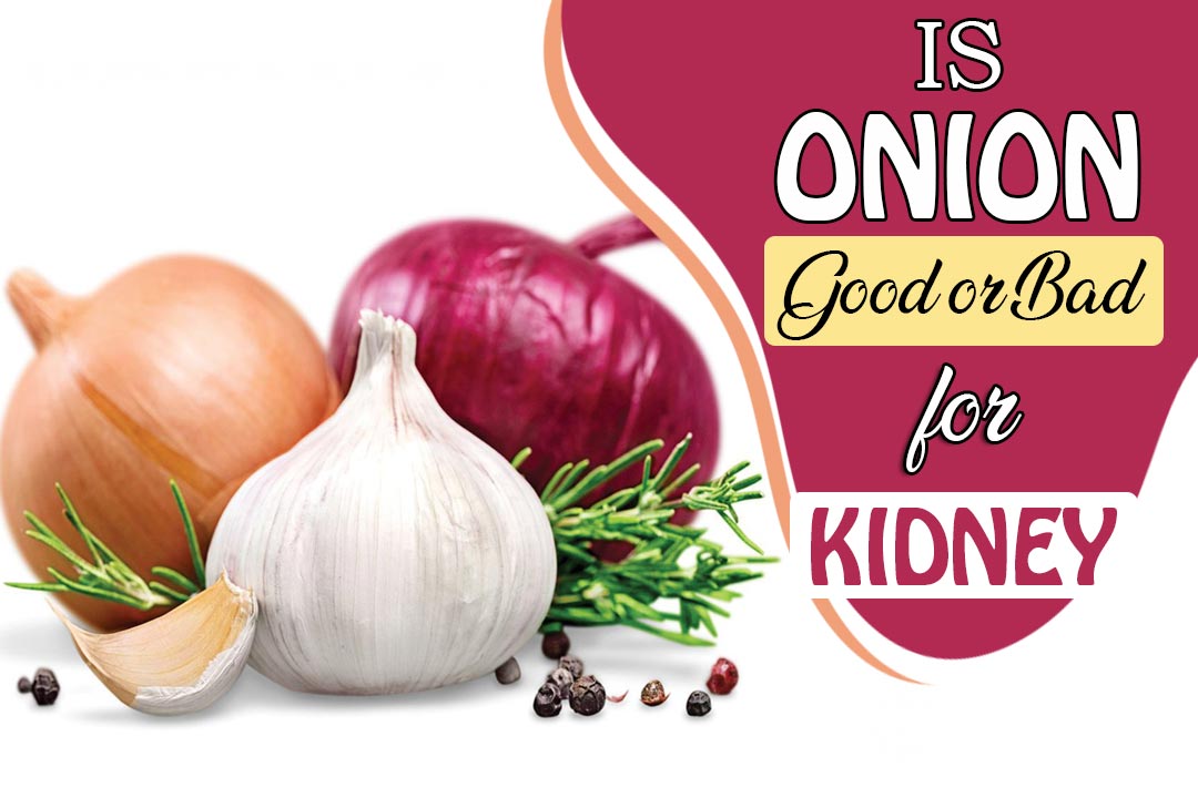 Onion Good or Bad for Kidney