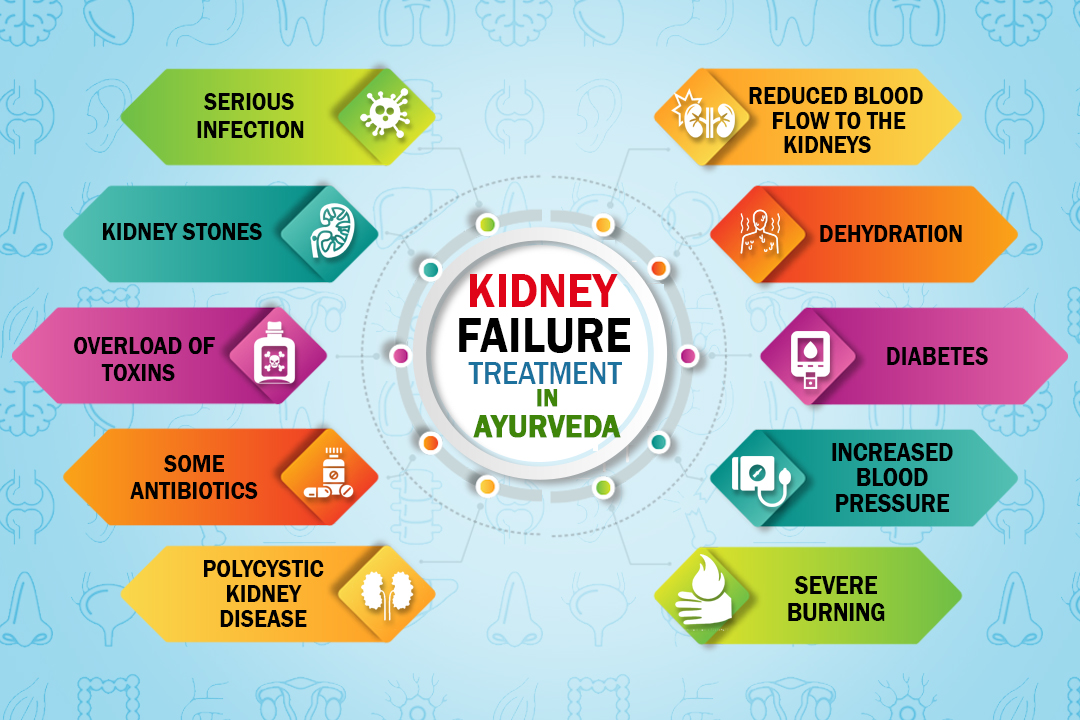 Kidney Failure Treatment In Ayurveda